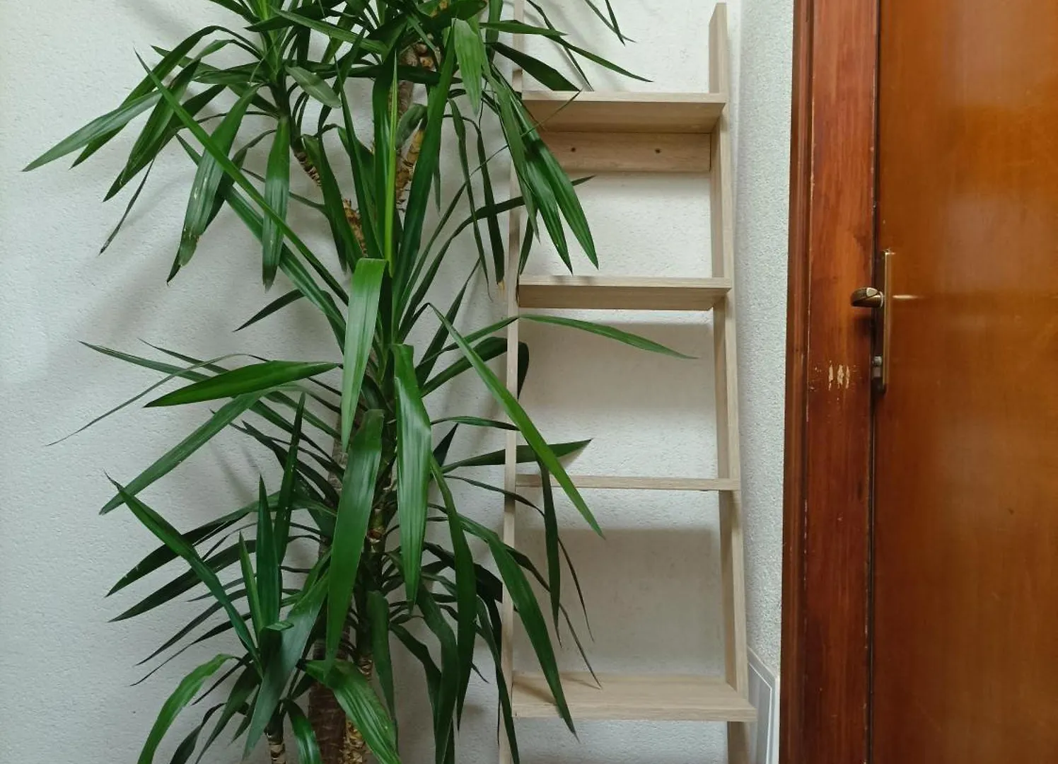 Rooms & Apartment Hegic Задар Хорватия